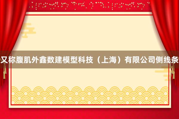 又称腹肌外鑫数建模型科技(上海)有限公司侧线条